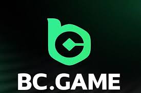 Step-by-Step Guide to BC.Game PH Registration Process